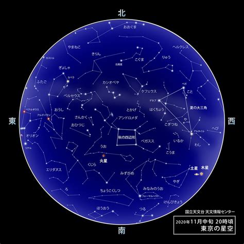 11月25日 星座